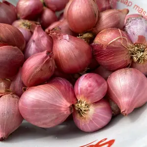 Bawang merah 1kg campur Besar Kecil