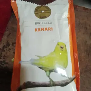 gold coin kenari 250 gr ( 1 buah )