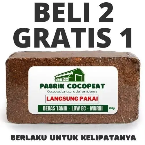 cocopeat beli 2 gratis  1