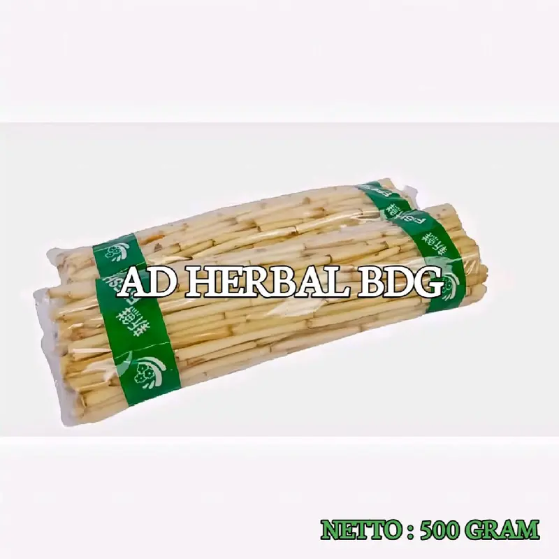 Akar Alang Alang Segar Isi Per 500 Gram Organik 3