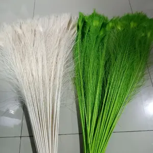 Bulu merak /bulu replika/bulu hiasan