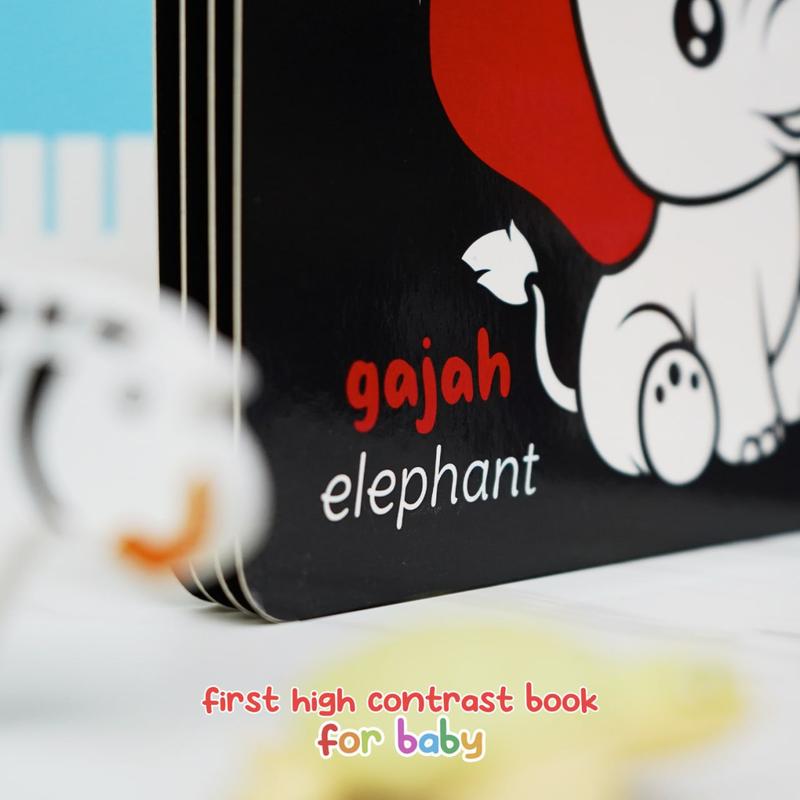 Buku Anak ABC 123 For Baby High Contrast Book - Ziyad Books 9