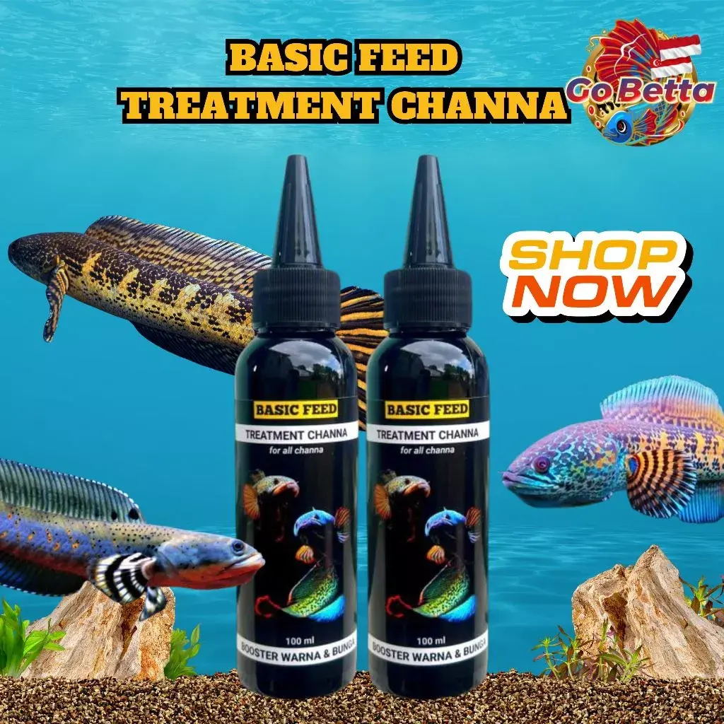 BASIC FEED TREATMENT OF CHANNA FLARING FISH | CHANNA FISH VITAMINS 100ML INCREASE COLOR AND FLOWER BETTA PET SHOP