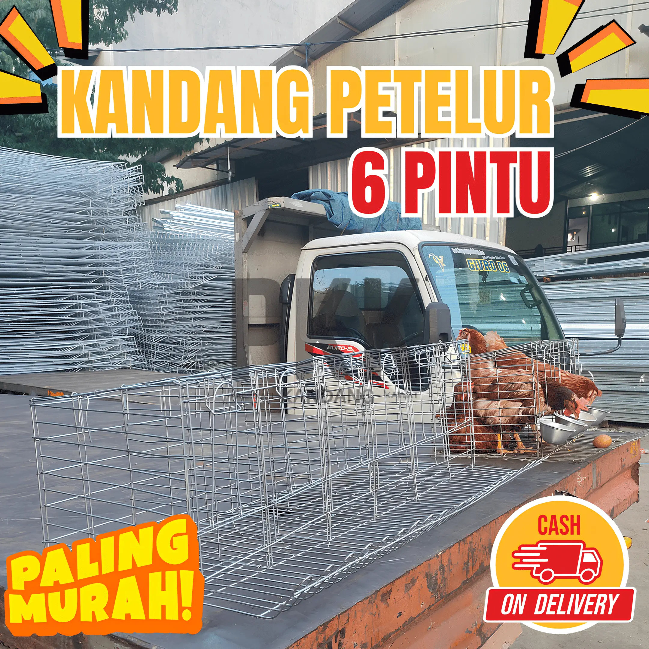 Kandang Ayam Petelur Galvanis 2 Pintu, 4 Pintu, dan 6 Pintu 5 ekor