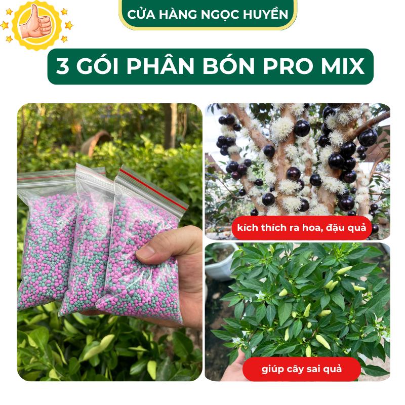M4 Combo 3 Gói Phân Bón Pro Mix Kích Thích Cây Ra Hoa Đậu Quả Gói 200gr