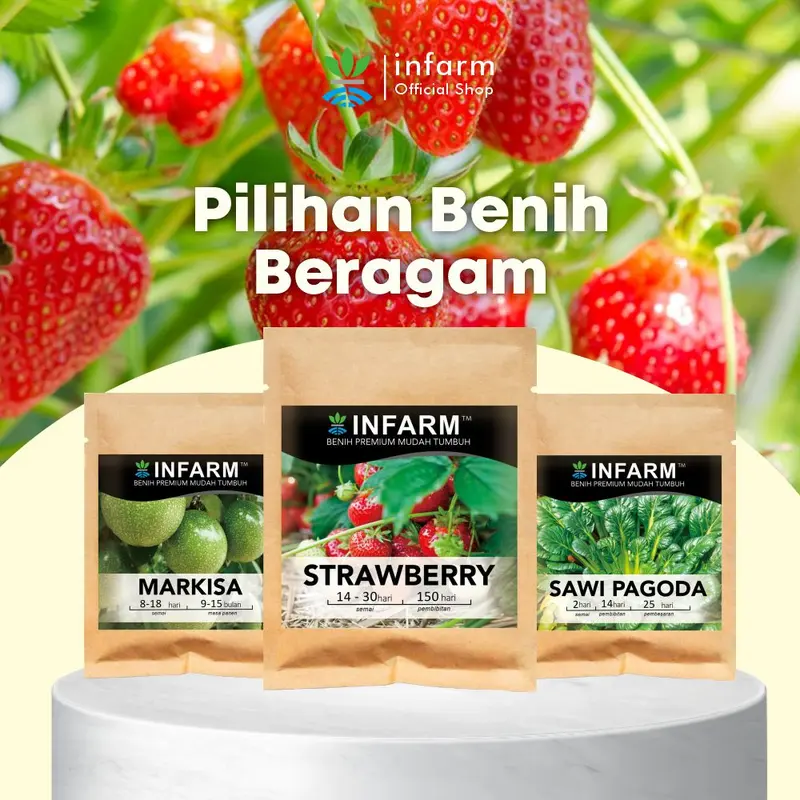 Benih tanaman Buah Strawberry isi 50 butir  Infarm 6