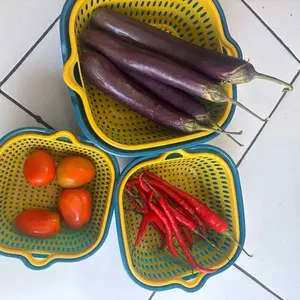 YAWANG Smart Drain Bowl Set Saringan & Wadah Cuci Buah Sayur 6-in-1 Multifungsi Gagang Anti Slip & Ergonomis PP Food Grade