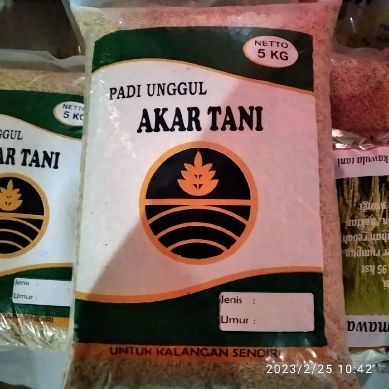 Benih padi 303 agt 5kg original 2