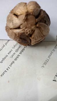 Product Review of Black Garlic Tunggal Manika 250g Bawang Hitam Lanang Kualitas Pilihan from r**6 0