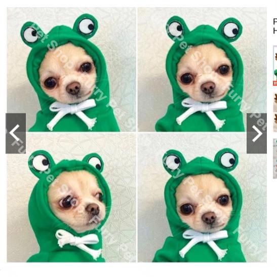 Cat Clothes Dog Pet Shirt Hoodie Pouch Kitten Baju Kucing Topi Comel 2