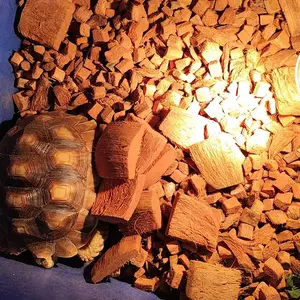 Workplant - Coco Husk Cocochip Media Tanam Atau Alas Substrat Kandang Reptile Siap Pakai