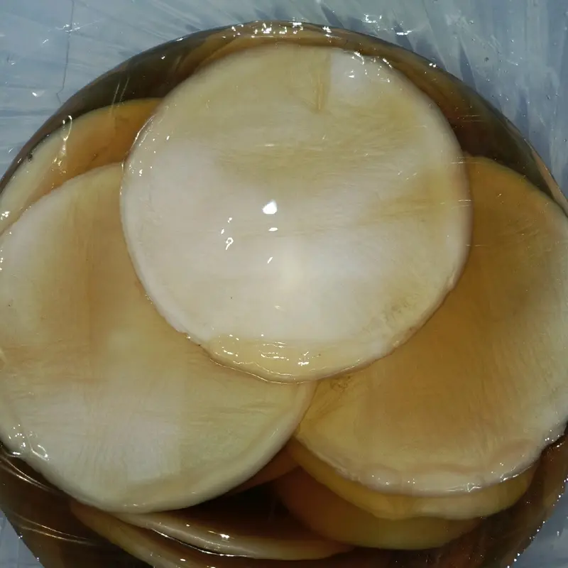 Scoby Kombucha Reseller isi 5 Scoby ukuran lebar +- 20×12×0.5cm, bisa memproduksi teh kombucha sebanyak +-20Liter dalam sekali proses, GARANSI 100% diganti baru jika proses pembuatan scoby gagal, berjamur atau tidak berkebang biak..BUKTIKAN !! 7