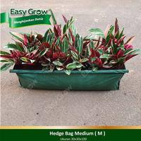 Gambar Easy Grow Hedge Bag Hijau Size M dari Easy Grow_NEW Kab. Gunungkidul 1 Tokopedia