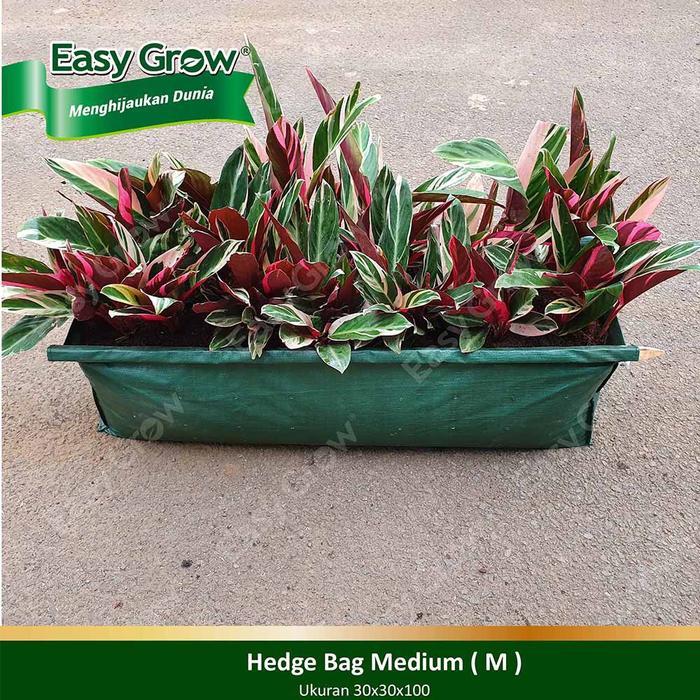 Gambar Easy Grow Hedge Bag Hijau Size M dari Easy Grow_NEW Kab. Gunungkidul Tokopedia