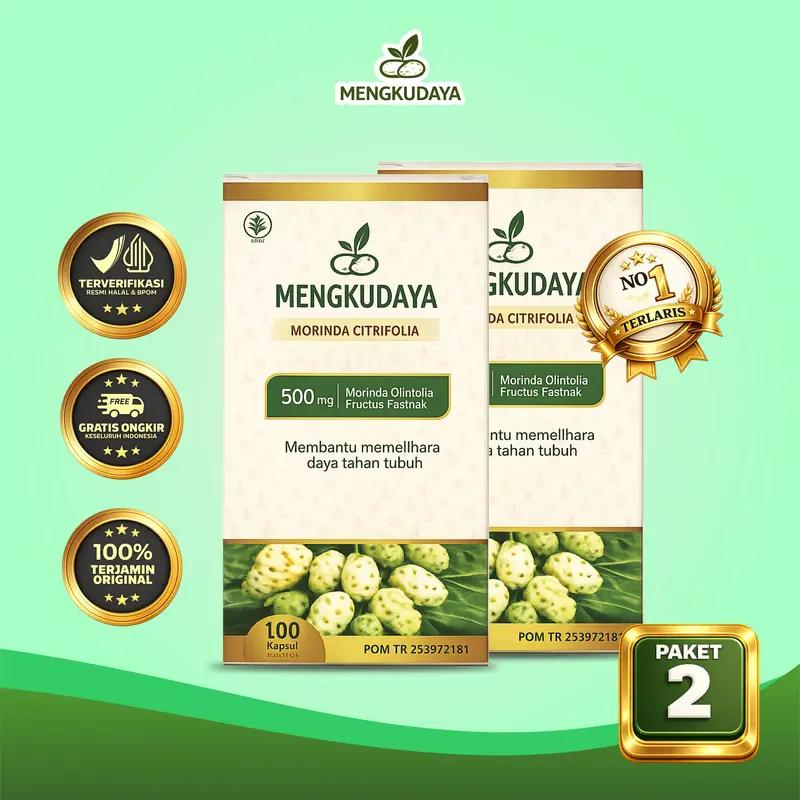 MENGKUDAYA Paket 2 TikTok Shop