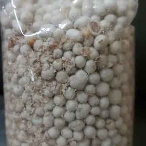 KACANG SUKRO 250gr / SUKRO KILOAN / SUKRO ASIN / SUKRO GURIH / SUKRO BESAR KHAS TEGAL