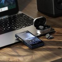 Gambar FiiO M21 M 21 Portable High-Res Lossless Music Player Snapdragon 680 CS43198 *4 DACs / Case SK-M21C - Leather Case Only dari Dunia Mas Computer Kota Administrasi Jakarta Barat 3 Tokopedia