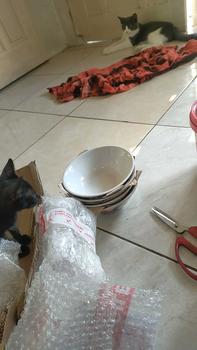 Product Review of Mangkok Keramik Cap Ayam Jago Jadul Kitchenware HARGA PER SATU BUAH from M**h W**n 0
