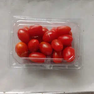 Tomat Cherry Segar dalam Kotak Plastik Transparan untuk Camilan Sehat dan Segar