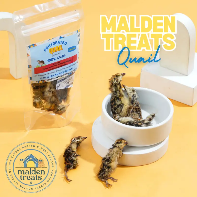 Malden Treats Dehydrated 100% Quail 1