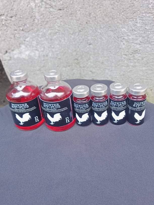 l carnitine for gamefowl L carnitine with b complex gamefowl and pigeons L-Carnitine B-Complex Liquid  Supplement Red Orange Poultry And Pet Supplement Thailand-Made  All-Life-Stage Animal Supplement - Lazada main image 1
