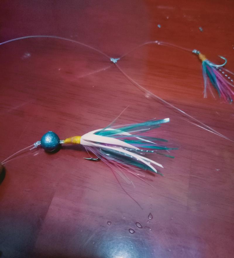 Product Introduction of Rangkain Jighead Sabiki Rainbow Mancing Casting Pinggiran 6