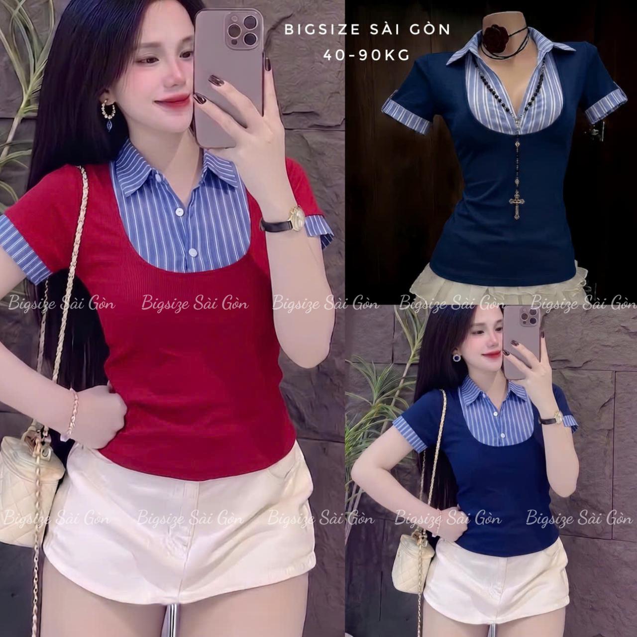 Thời Trang Bigsize Áo Thun Polo Phối Sọc Cotton Cao Cấp Thanh Lịch Vải Thun Gân Tăm Bigsize Từ 45 - 90Kg Dễ Thương Top Nữ Women - B.1804