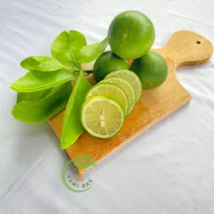 Jeruk Nipis Peras Kulit Hijau Segar Pilihan