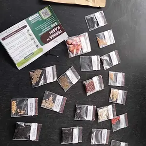 Paket 25 Bibit Sayuran Mudah Tumbuh Benih Seribuan