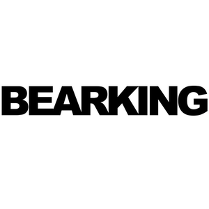 BEARKING from China