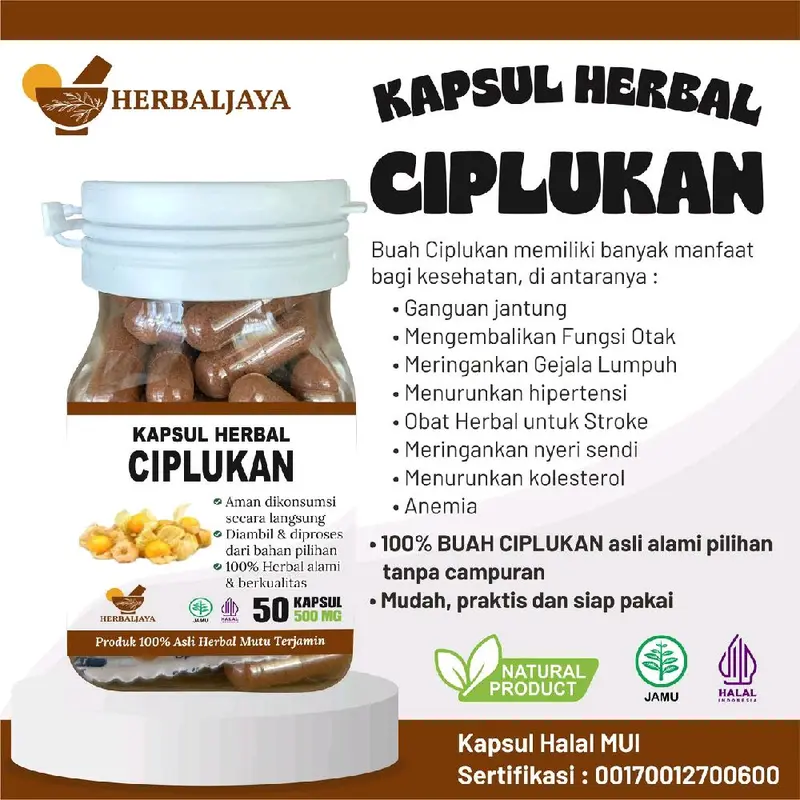 HERBALJAYA || KAPSUL CIPLUKAN 100% ORIGINAL HERBAL { STROKE, KOLESTEROL, GANGGUAN SYARAF } 0