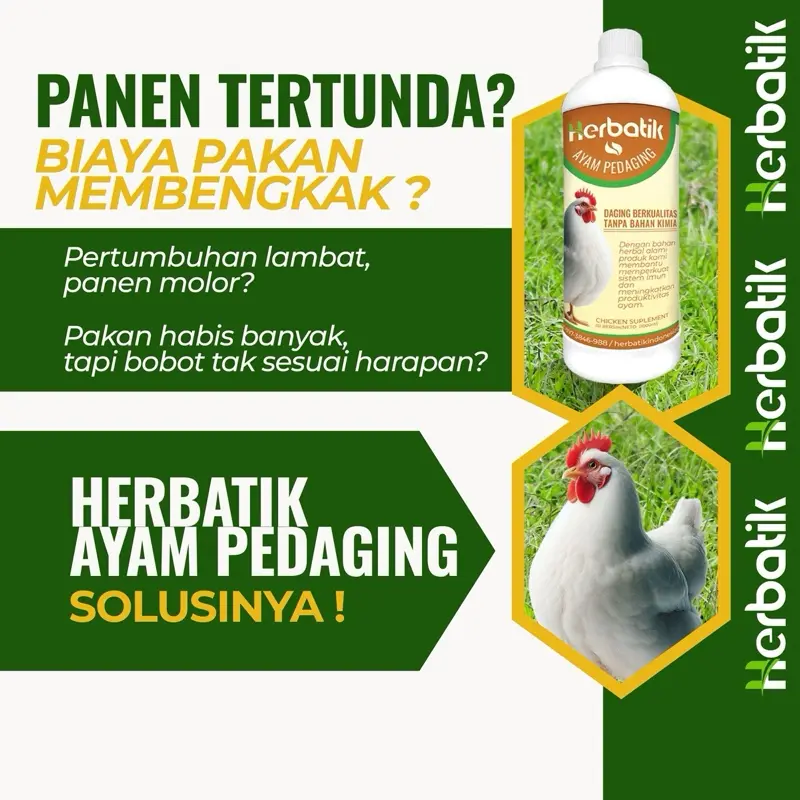 Herbatik Ayam Pedaging – Pertumbuhan Optimal, Ayam Sehat, Tanpa Bahan Kimia!