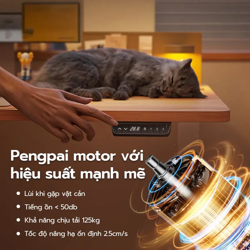 【Cập nhật hoàn toàn mới】Xpanse bàn học thông minh Bàn Làm Việc bàn_máy_tính mặt bàn gỗ bàn điều chỉnh độ cao bàn gaming | BigBuy360 - bigbuy360.vn