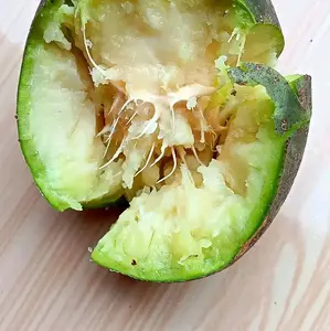 1kg buah kedondong seger pressh