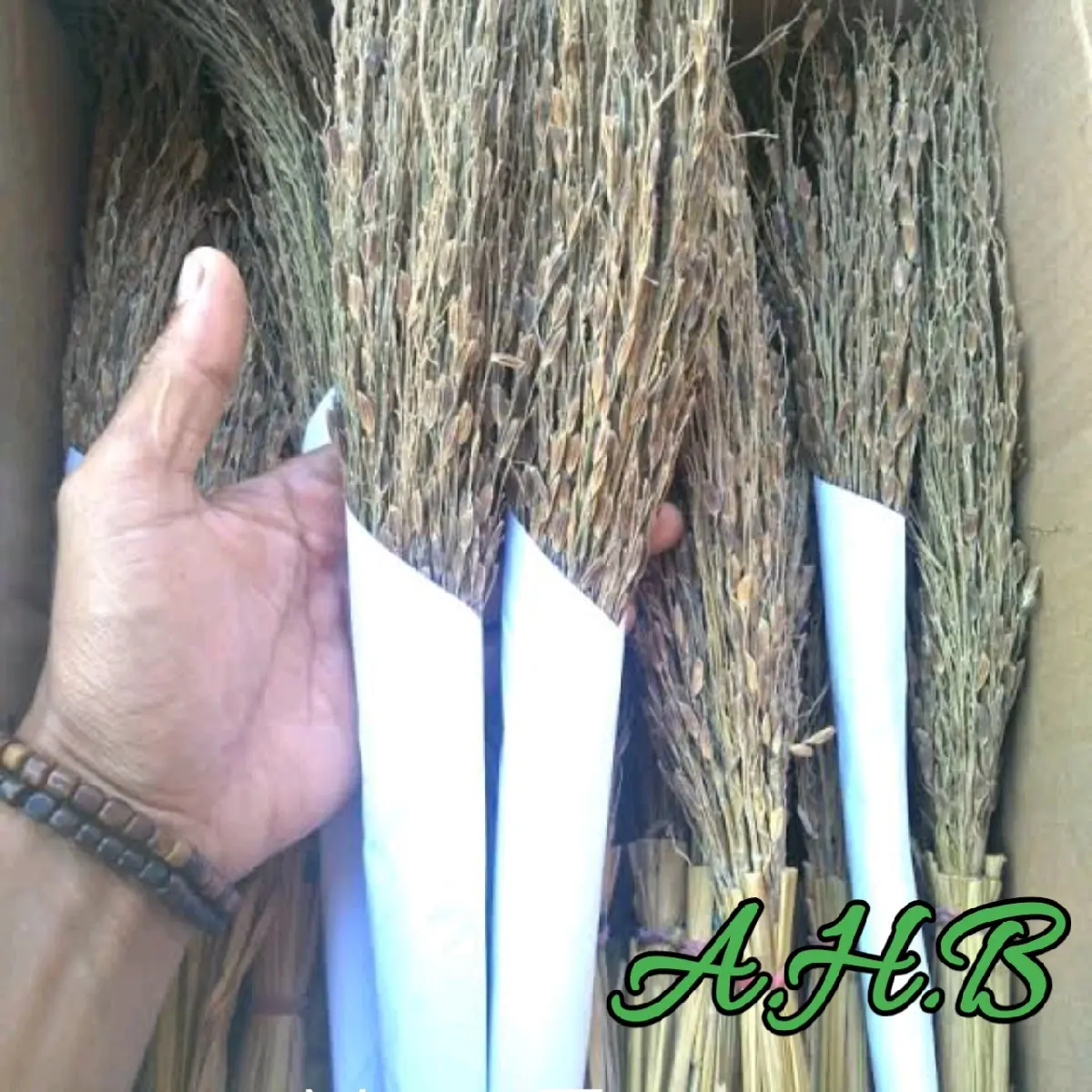 Sapu  Padi Ketan Hitam Merang Padi Ketan Hitam Per Ikat