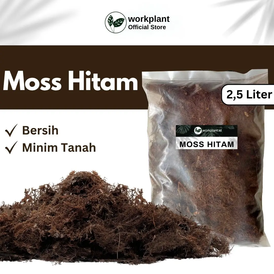 Workplant - Moss Hitam Media Tanam Anggrek dan Tanaman Hias Lainnya Siap Pakai Sudah Bersih Minim Patogen Cocok Untuk Semua Jenis Tanaman Hias