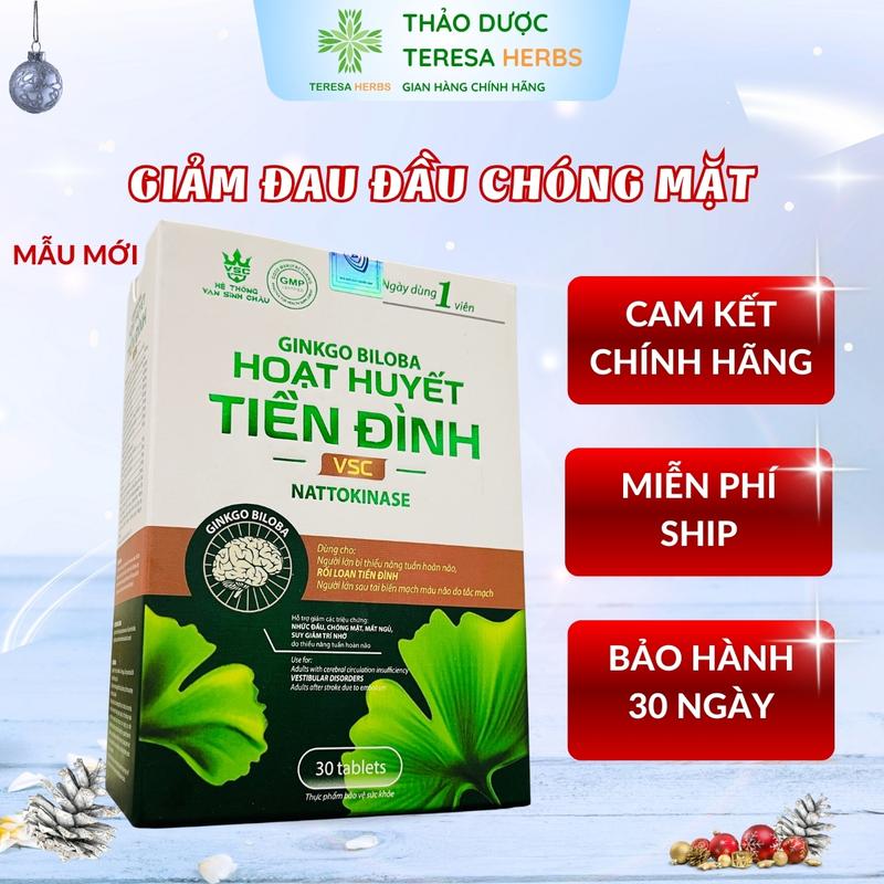 Ginkgo biloba Viên uống Hoạt Huyết Bổ Não Tiền Đình VSC - Hộp 30 viên