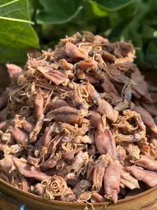 IKAN BABY CUMI ASIN KUALITAS PREMIUM STOCK TERBARU - KIRIM KERING