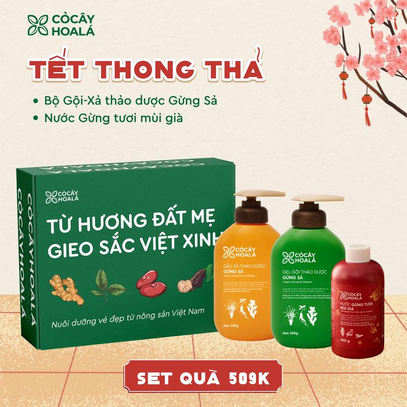   TẾT THONG THẢ 509K  Set quà Tết Cỏ Cây Hoa Lá "Khởi nguồn tự nhiên – Giữ Hồn Tết Việt": Combo Dầu Gội Xả Thảo Dược Gừng Sả 500g chai Nước Gừng Tươi Mùi Già 300g 