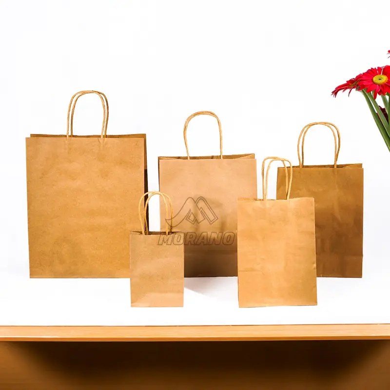 5 Pcs Paper Bag Tas Souvenir Paper Craft Goodie Bag Tas Belanja 1