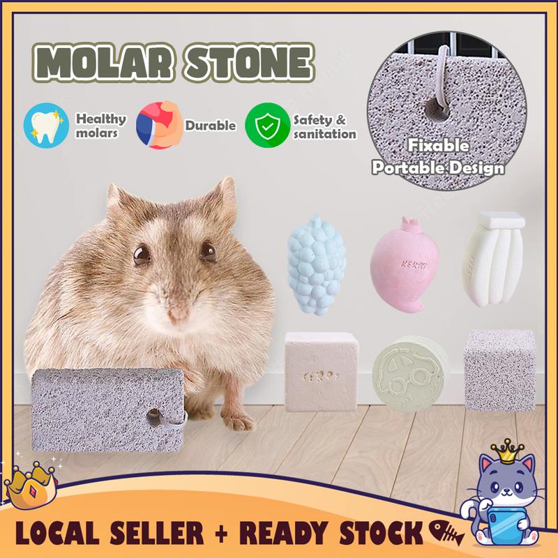 Image showcasing CATQUEEN Haiwan Kecil Arnab Guinea Pig Batu Mineral Gigi Bat - TikTok ...