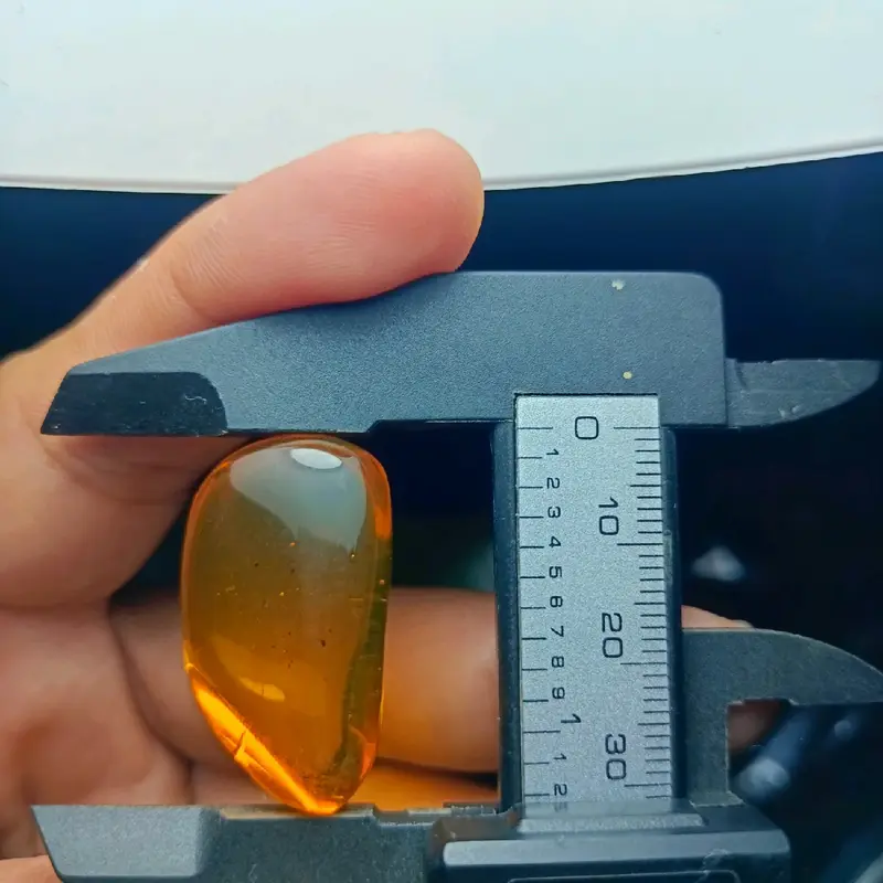 AMBER ISI SERANGGA PURBA ( AMBER INSECT) AMBER BURMITE KODE TT 4 7