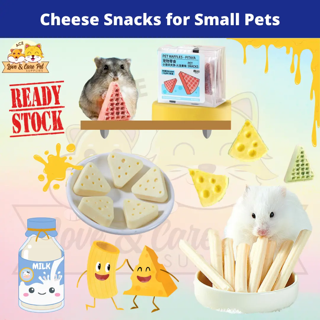 Nutritious Cheese Cube for Small Pets Hamster Snack Treat | Kiub Keju untuk Hamster & Haiwan Kecil
