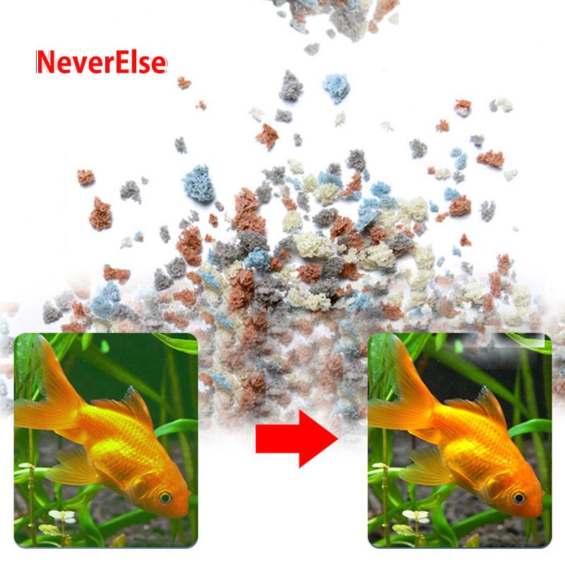 What Are Bioload and Biomass and Why They Are Important