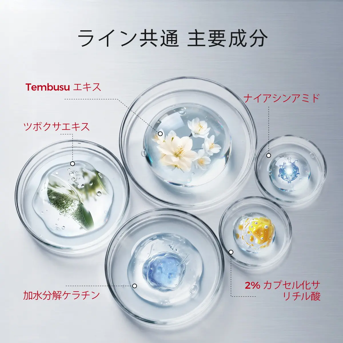 NING DERMOLOGIE シンガポール「Tembusu エッセンス」スキンケアギフト