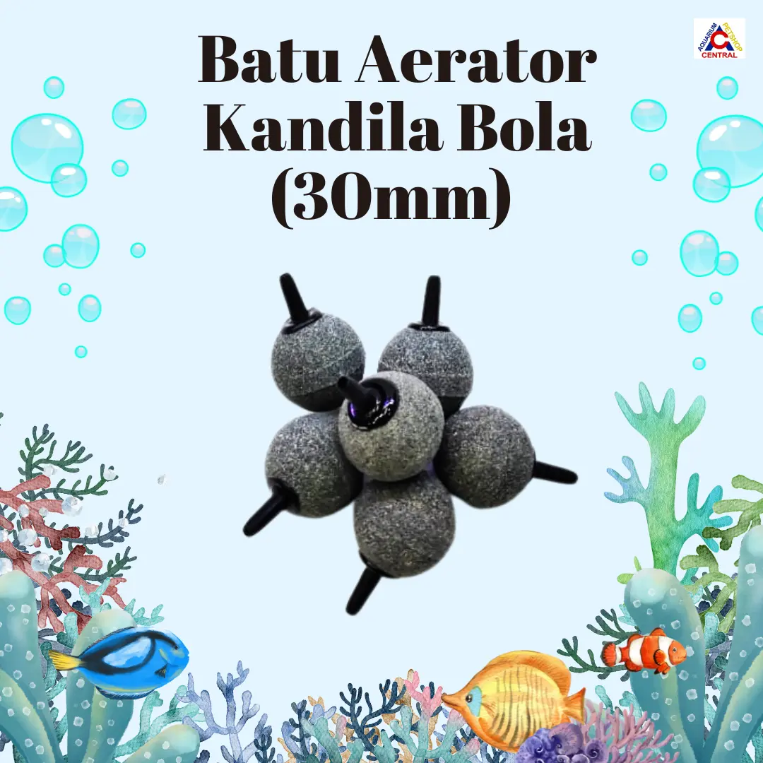 Batu Aerator/Air Stone Aquarium Kandila Bola (30 mm)