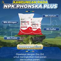 Gambar Pupuk Npk Phonska Plus ZN Sulfur 25 KG dari PUROTANI.ID Kab. Purworejo 1 Tokopedia