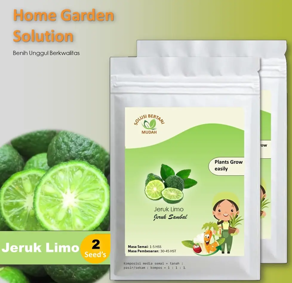 2 Bibit Benih Jeruk Limo Jeruk Sambal Limau