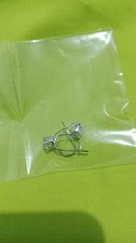 Product Review of ANTING DESY TITANIUM SILVER MOTIF PERMATA ANTI LUNTUR ANTI KARAT Earrings from N**o 0