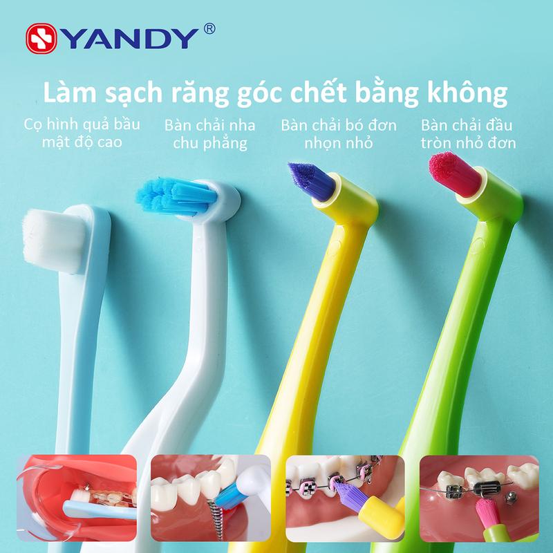 Bàn Chải Đánh Răng Chỉnh Nha YANDY Chùm Đơn Bàn Chải Chỉnh Nha Bàn Chải Kẽ Hở Chỉnh Nha Thích Hợp Để Chỉnh Sửa Móng Xương Implant Bàn Chải Đầu Nhỏ Đặc Biệt